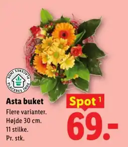 Lidl Asta buket tilbud