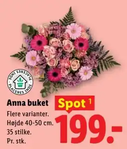 Lidl Anna buket tilbud