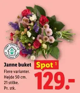Lidl Janne buket tilbud