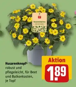 REWE DE Husarenknopf, EUR 1.89 tilbud