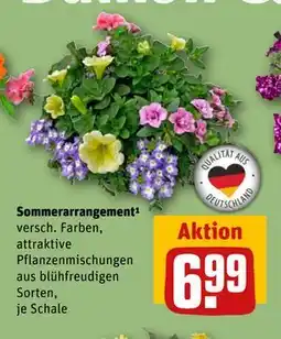 REWE DE Sommerarrangement, EUR 6.99 tilbud