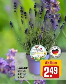 REWE DE Lavendel, EUR 2.49 tilbud