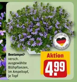 REWE DE Beetampel, EUR 4.99 tilbud