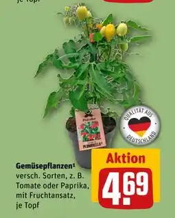 REWE DE Gemüsepflanzen¹, EUR 4.69 tilbud