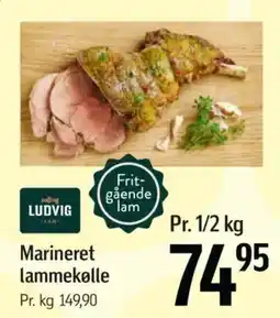 Føtex Marineret lammekølle tilbud