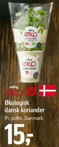 Føtex Salling Økologisk dansk koriander tilbud