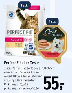 Føtex Perfect Fit eller Cesar tilbud