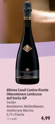 Citti Albinea Canali Cantine Riunite Ottocentonero Lambrusco dell'Emilia IGP tilbud