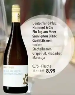 Citti Deutschland-Pfalz Hammel & Cie Ein Tag am Meer Sauvignon Blanc Qualitätswein tilbud