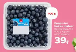 SuperBrugsen Coop stor bakke blåbær tilbud
