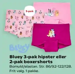 Kvickly Bluey 3-pak hipster eller 2-pak boxershorts tilbud