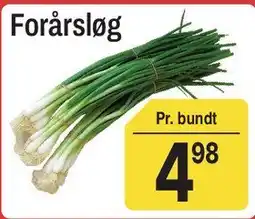 ABC Lavpris Forårsløg tilbud