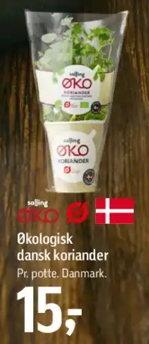 Føtex Økologisk dansk koriander tilbud