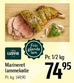 Føtex Marineret lammekølle tilbud