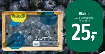 Føtex Blåbær tilbud