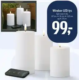 Føtex Windsor LED-lys tilbud