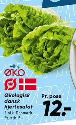 Bilka Økologisk dansk hjertesalat tilbud