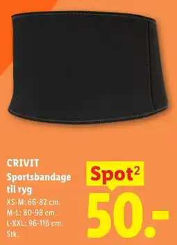 Lidl CRIVIT Sportsbandage til ryg tilbud