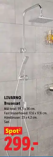 Lidl LIVARNO Brusesæt tilbud
