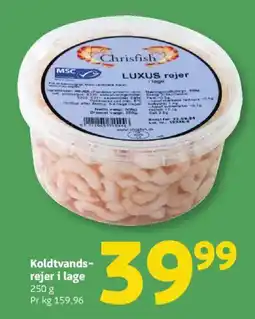Løvbjerg Koldtvands- rejer i lage tilbud