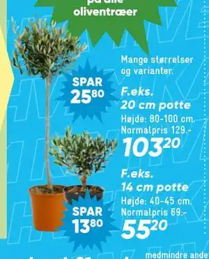 20 cm potte