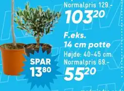 Bilka 14 cm potte tilbud