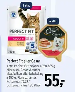 Føtex Perfect Fit eller Cesar tilbud