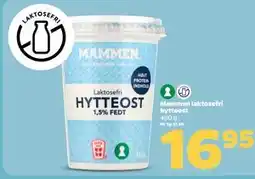 Netto Mammen laktosefri hytteost tilbud
