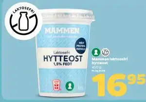 Mammen laktosefri hytteost