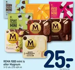 REMA 1000 REMA 1000 mini is eller Magnum tilbud
