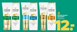 Netto Pantene shampoo eller balsam tilbud