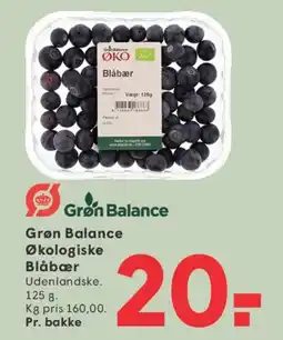 SPAR Grøn Balance Økologiske Blåbær tilbud