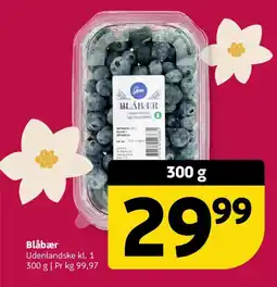Løvbjerg Blåbær tilbud