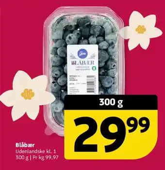 Løvbjerg Blåbær tilbud