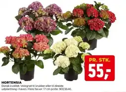jem & fix Hortensia tilbud