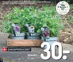 REMA 1000 Stauder tilbud