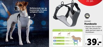 Hundesele