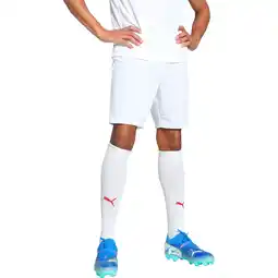 Sport 24 PUMA teamGOAL Træningsshorts Herre tilbud