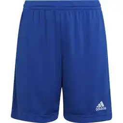 Sport 24 adidas Entrada 22 Træningsshorts Børn tilbud