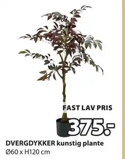 JYSK DVERGDYKKER kunstig plante tilbud