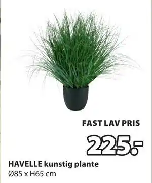 JYSK HAVELLE kunstig plante tilbud