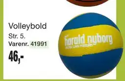 Harald Nyborg Volleybold tilbud
