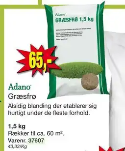Harald Nyborg Græsfrø tilbud