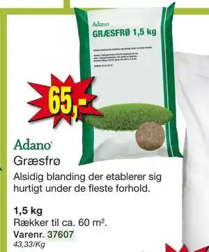 Græsfrø