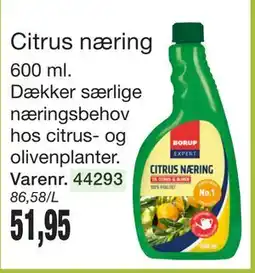 Harald Nyborg Citrus næring tilbud