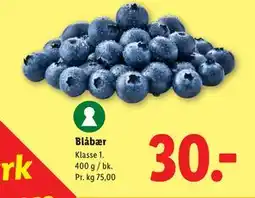 Lidl Blåbær tilbud