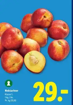 Lidl Nektariner tilbud