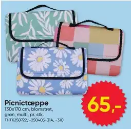 BigDollar Picnictæppe tilbud