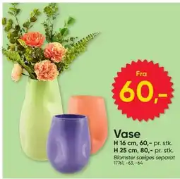 BigDollar Vase tilbud