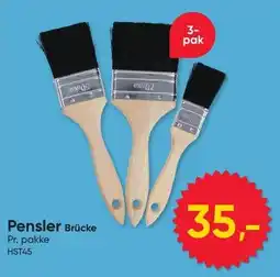 BigDollar Pensler Brücke tilbud